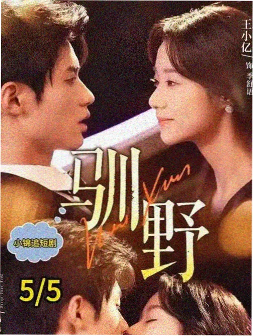 全职猎人观看顺序缩略图